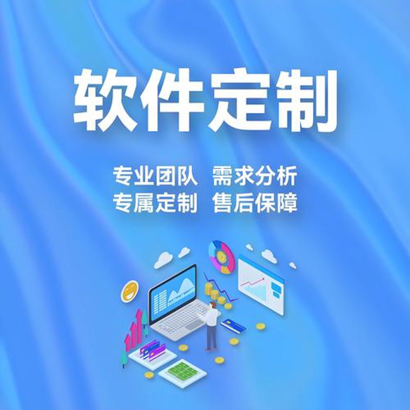 上海软件开发：信息技术的翅膀